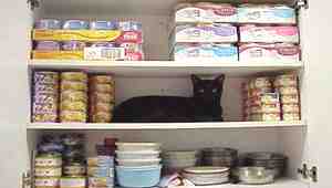 Canned Cat Food Storage Ideas