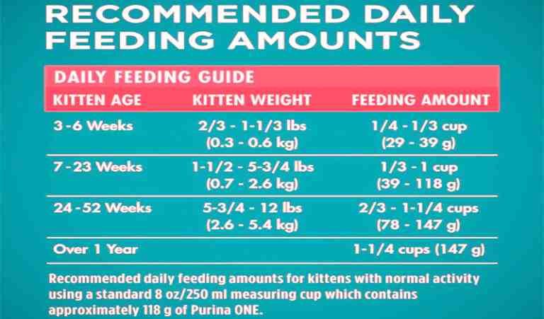 The Best Purina Cat Feeding Chart You Need To Know - Perfect Cat Food