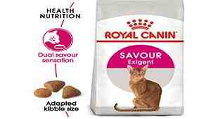 Royal Canin Savor Selective Dry Cat Food