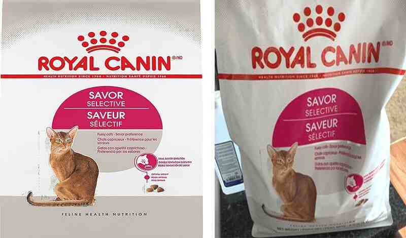 Royal Canin Savor Selective Dry Cat Food