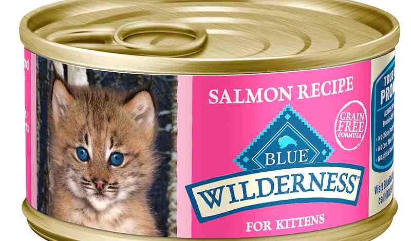 Salmon Canned Cat Food 