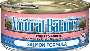 Salmon Canned Cat Food