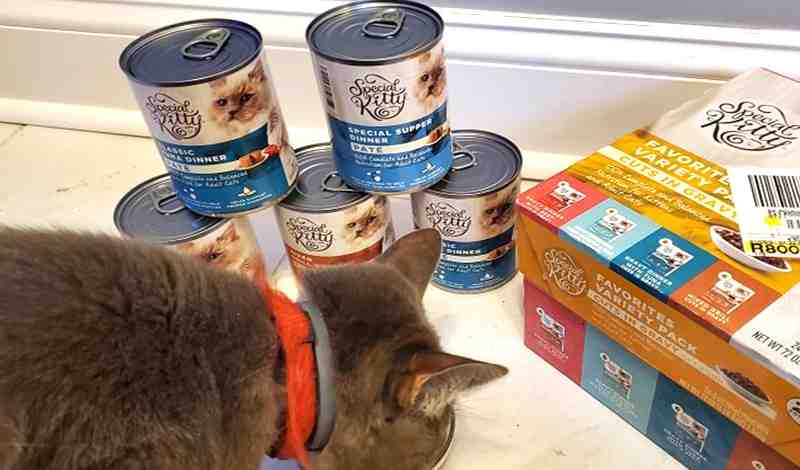 Special Kitty Canned Cat Food