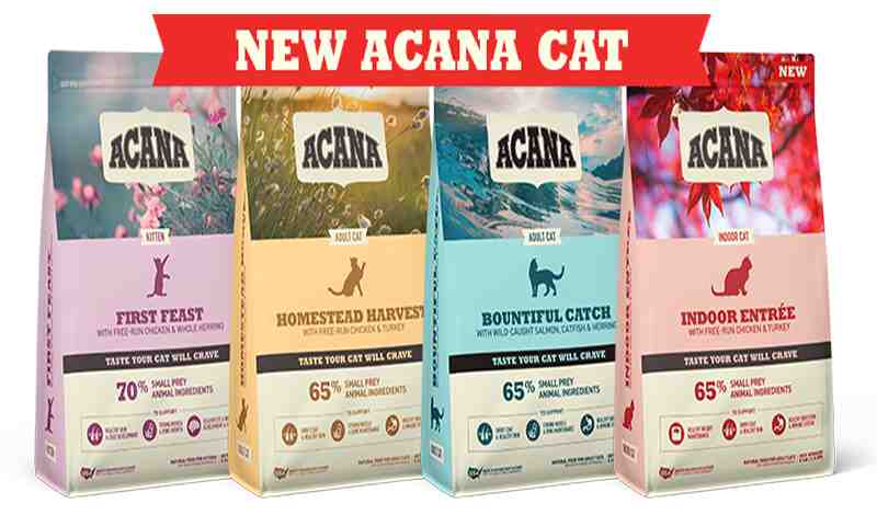 Acana Cat Food