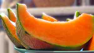 Can Cats Eat Cantaloupe