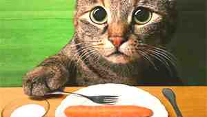 Can Cats Eat Carrots