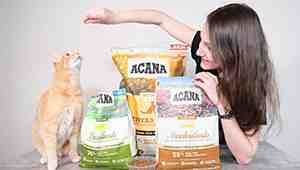 Is Acana Cat Food Good