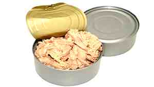 Is Canned Tuna Good For Cats