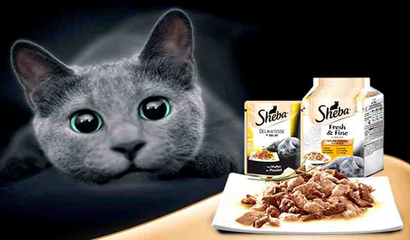 Is Sheba Cat Food Good For Diabetic Cats
