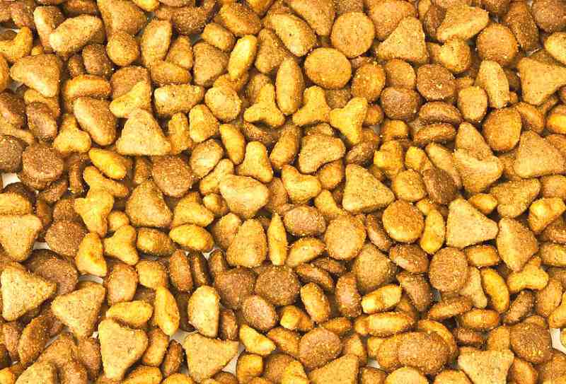 Small Kibble Cat Food