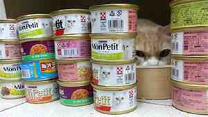 What Are Cat Food Cans Made Of