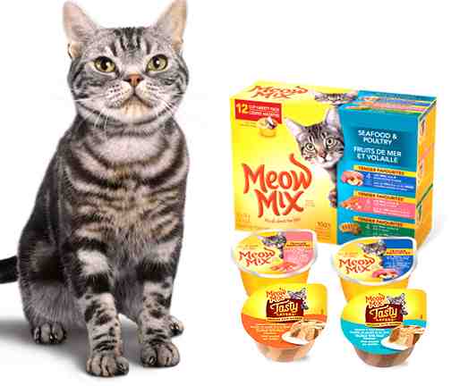 Is Meow Mix Good For Cats