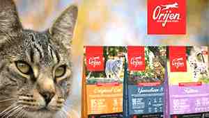 Orijen Cat Food Good