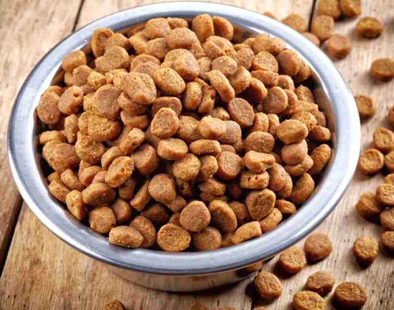What Is Ash in Cat Food