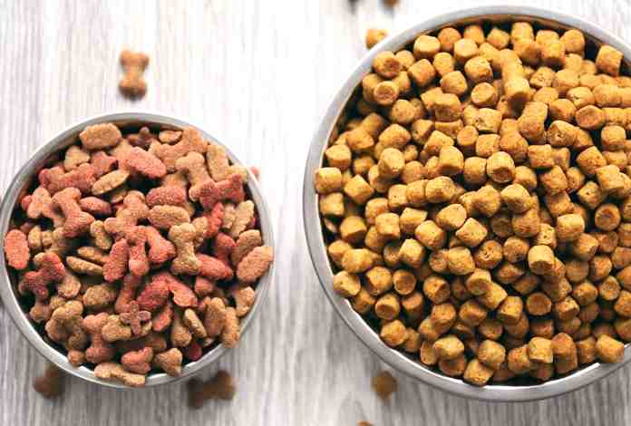 What's The Difference Between Cat Food and Dog Food