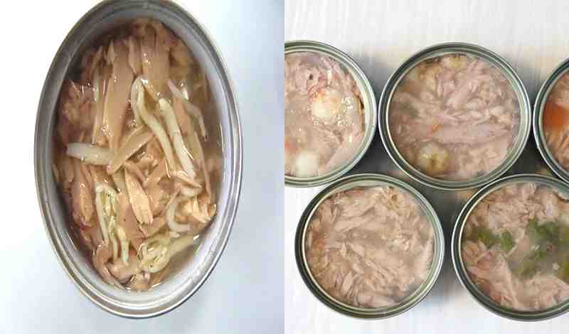 Is Canned Cat Food Raw