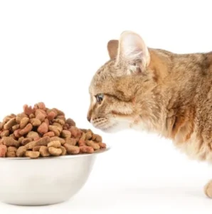 Low Magnesium Cat Food