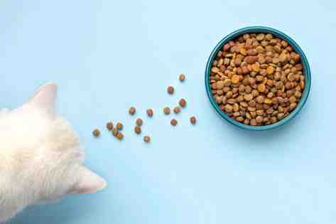 Small Bites Cat Food