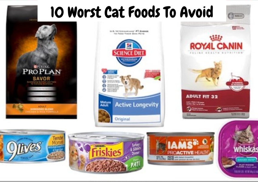 Worst Cat Foods 