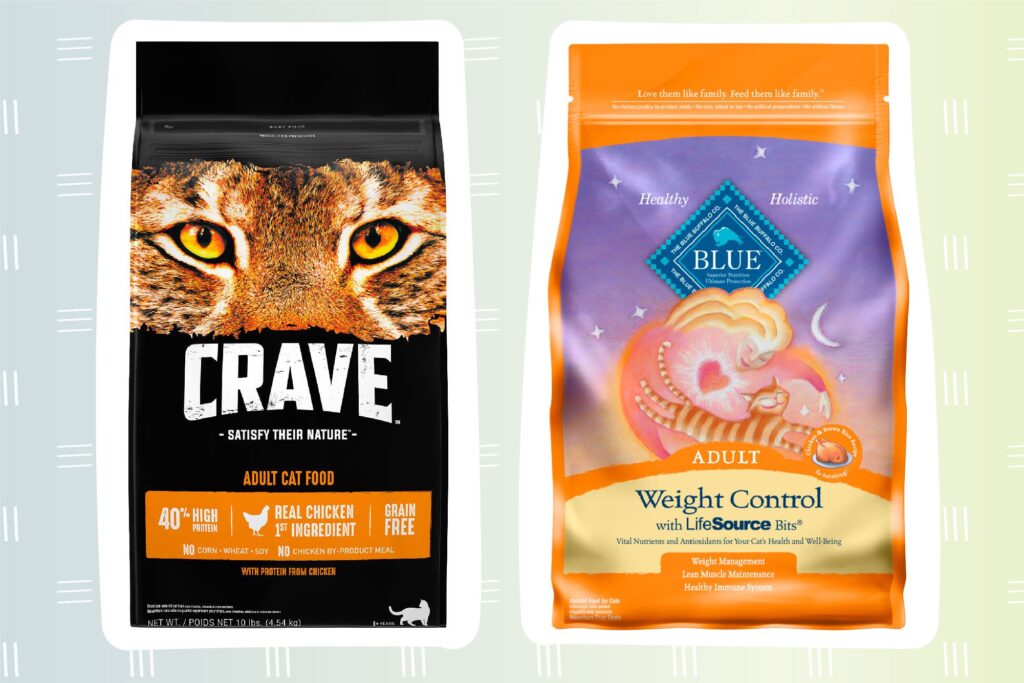 What is the Most Expensive Cat Food? Best 5 Most Expensive Cat Food