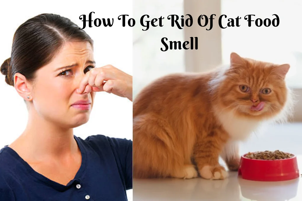 How To Get Rid Of Cat Food Smell