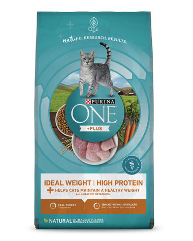 Which Dry Cat Food Has the Most Protein? 3 Best Options - Perfect Cat Food