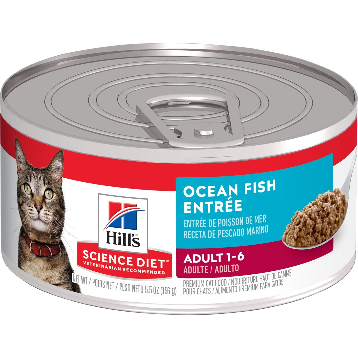 What is Ocean Fish in Cat Food? Is It Good Or Bad? Biology Diagrams