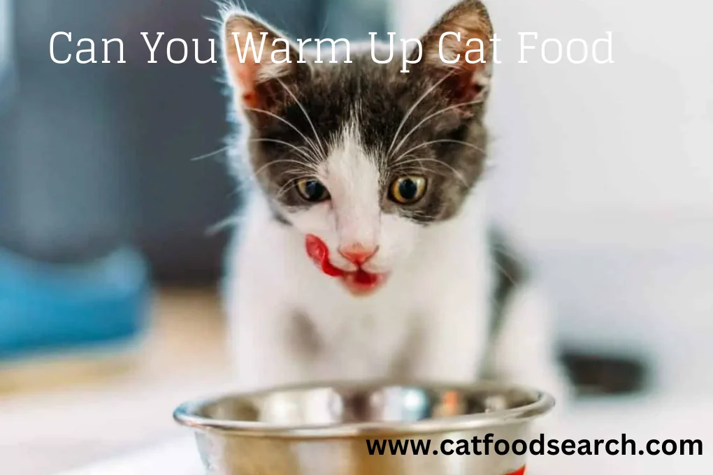 Can You Warm Up Cat Food