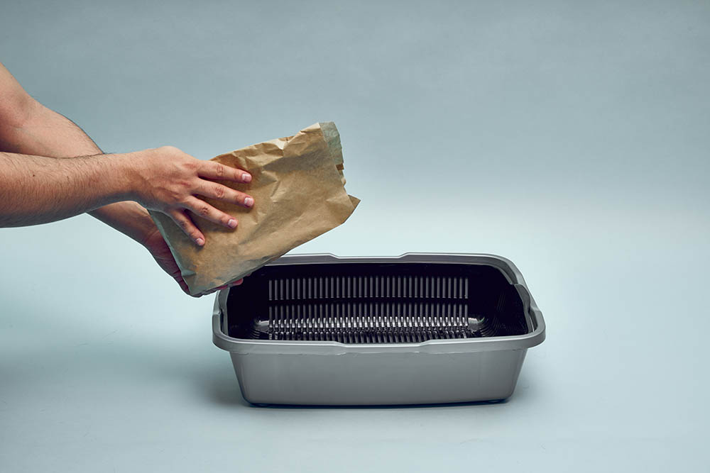 How to Dispose of Cat Litter Without Plastic Bags? Best Ways Perfect