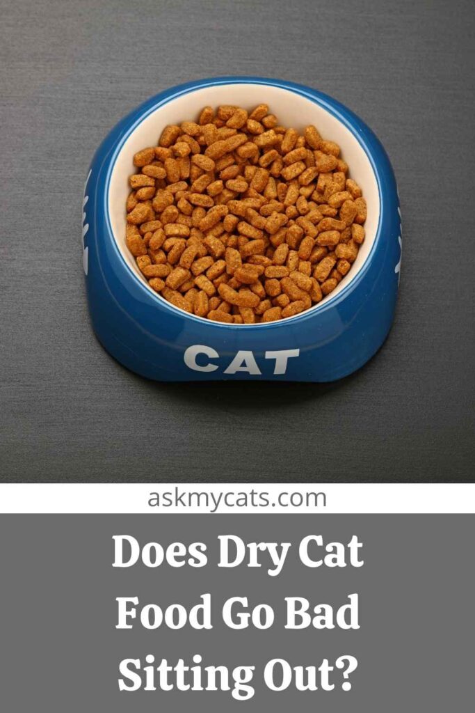 How Long Does Dry Cat Food Last Unopened? Perfect Cat Food