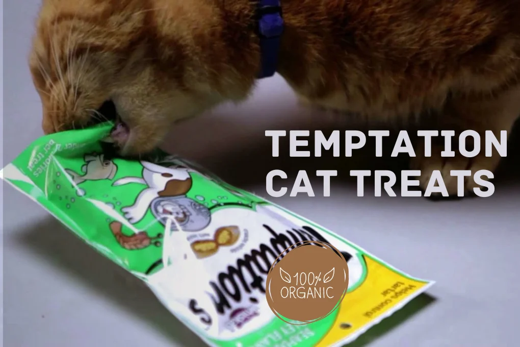 Temptation Cat Treats