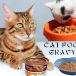 How To Make Cat Food Gravy