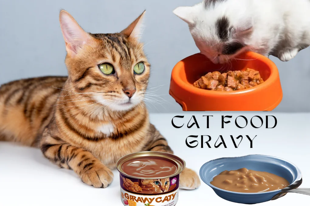 How To Make Cat Food Gravy