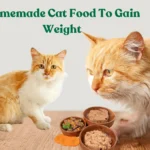 Homemade Cat Food To Gain Weight