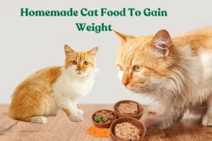 Homemade Cat Food To Gain Weight