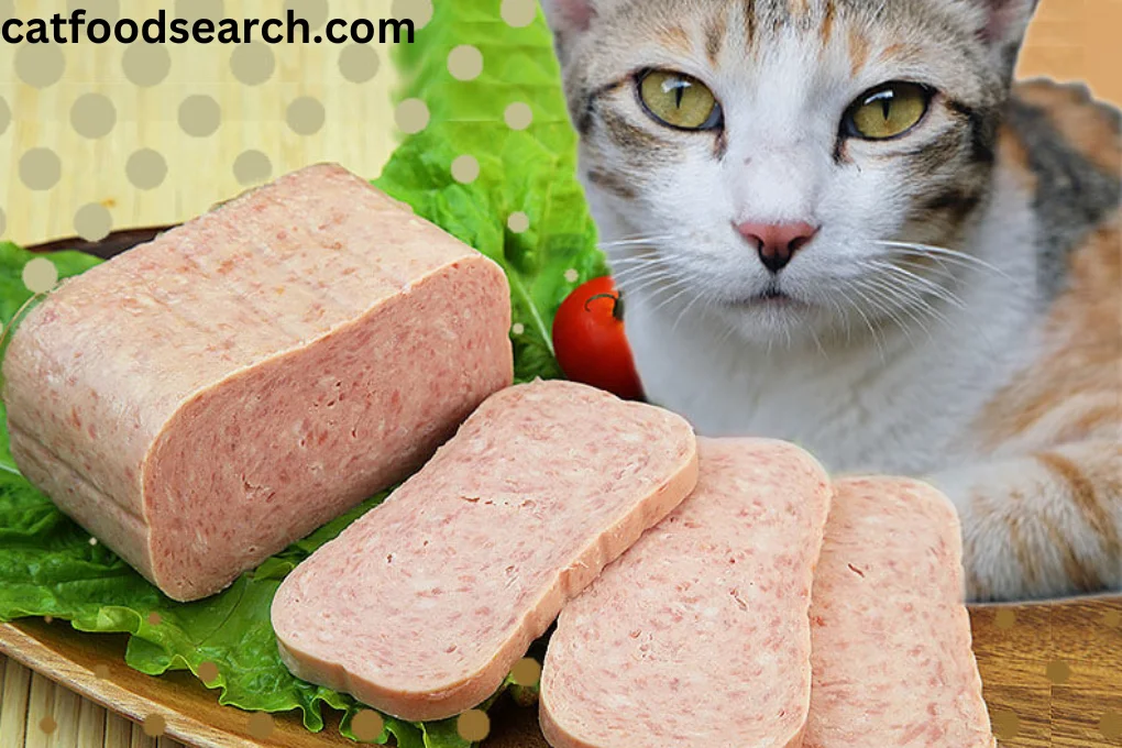 Can Cats Eat Spam