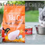 Is Tiki Cat Good Cat Food