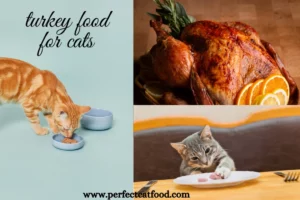 Is Turkey Good For Cats?