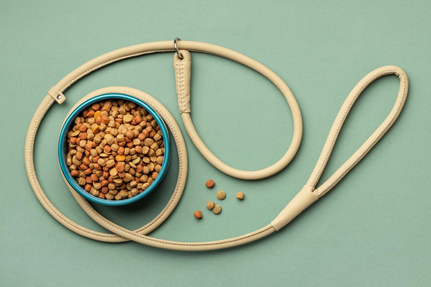 How to Choose the Right Pet Food