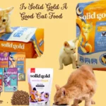 Is Solid Gold A Good Cat Food