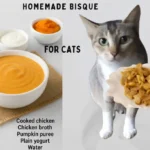 Homemade Bisque For Cats